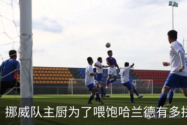 挪威队主厨为了喂饱哈兰德有多拼？他每天要补充6000卡路里热量，进入淘汰赛后球队紧急订购食材