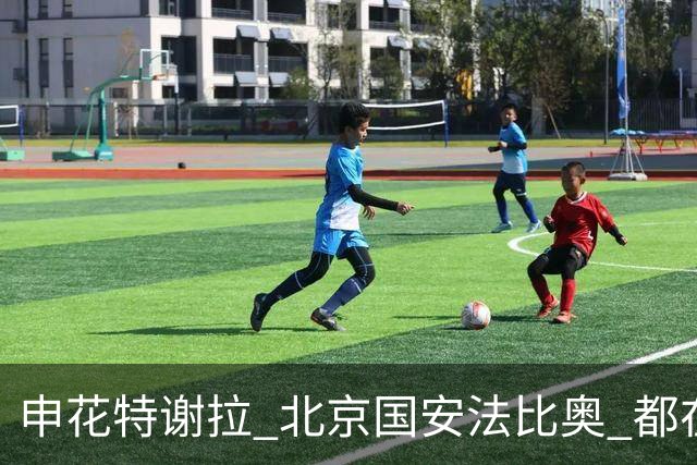 申花特谢拉 北京国安法比奥 都在7月迎来代表中超俱乐部百场里程碑