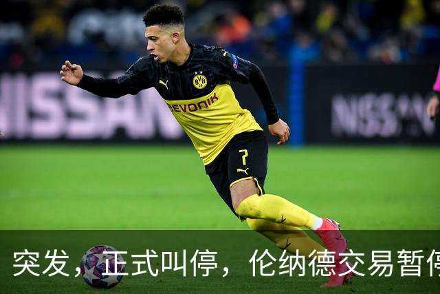 突发，正式叫停，伦纳德交易暂停，联盟介入，1换7或泡汤，快船或重罚