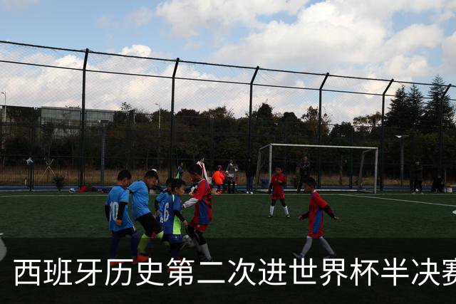 西班牙历史第二次进世界杯半决赛 上一次2010南非问鼎