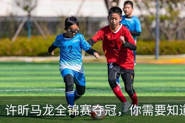 许昕/马龙全锦赛夺冠，你需要知道这些冷知识>>