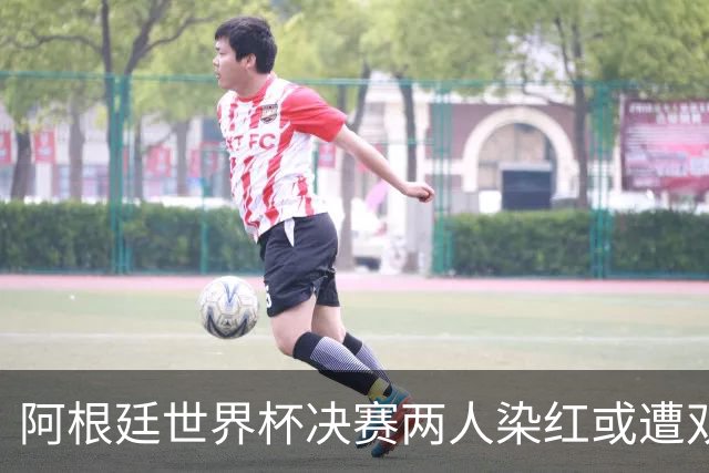 阿根廷世界杯决赛两人染红或遭双重处罚 希勒怒斥恶心怒批毫无底线